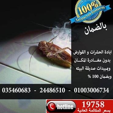 اباده الصراصير|اباده الصراصير |اباده الصراصير |01003006734|لاباده الصراصير والنمل والفئران بدون ازاله الاوانى لجميع المحافظات 20بالضمان