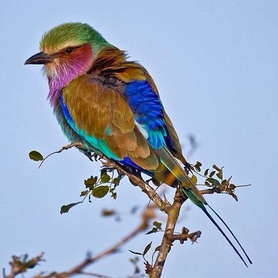 Abdullahrg's profile picture. Happiness is a journey not a destination but not a better time to be happy most of the nest now and enjoy the present moment with my account
.