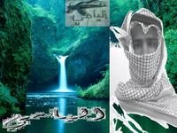 ماهجـرت الا رديـيـن المـعـارف اللي في طعن الخلايق ماتوقف وماقلطت الا على روس المشارف حافظٍ قدري عن علوم الملقف            name /جابر ابن سيده