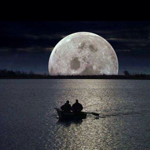 AlshamriFahd's profile picture. »تعلمت ازيف ضحكتي والقلوب اسرار«

 جميع تغريداتي في مفضلتي