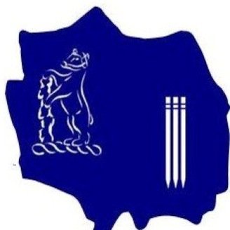 covcricket19's profile picture. 