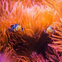 Vito Tinelli - @VitoVt24vt - Twitter