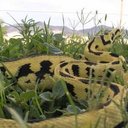 Leighton - @jerry_demoss - Twitter