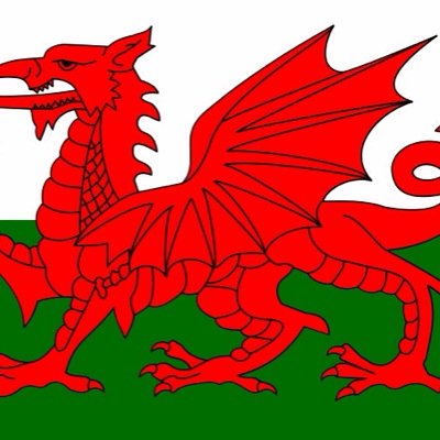 SupporteamWales's profile picture. Supporting @TeamWales in the Commonwealth Games