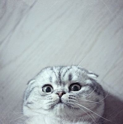 fhjkl641's profile picture. 