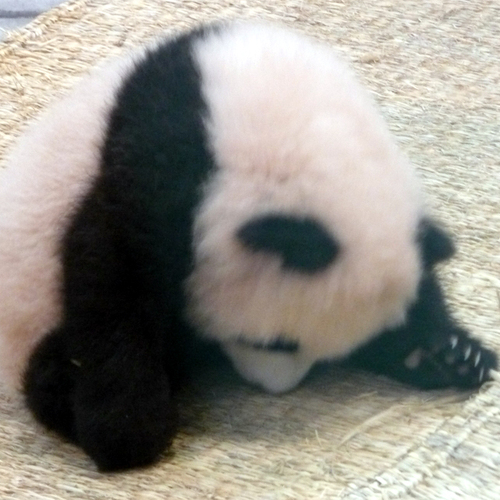 S_Tobby's profile picture. 