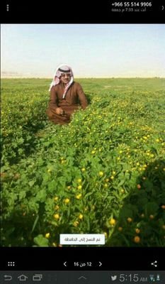 501Anssr's profile picture. 