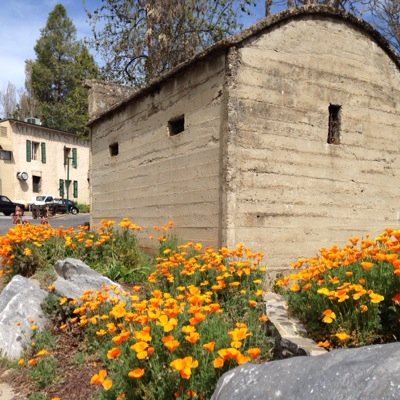 BOCA_Gold's profile picture. A collaboration of boutique wineries from Calaveras County Gold Country.