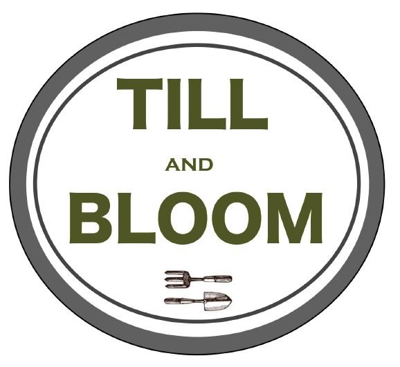 SUPPLIERS OF THE FRESHEST MICROGREENS! | EDIBLE FLOWERS | West Cork, Ireland