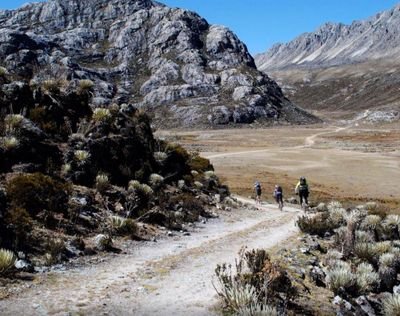 Ingeniero de Sistemas, jubilado de la ULA