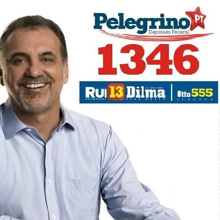 Somos militantes e apoiadores de #Pelegrino1346 .