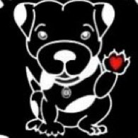 rochdale dog rescue