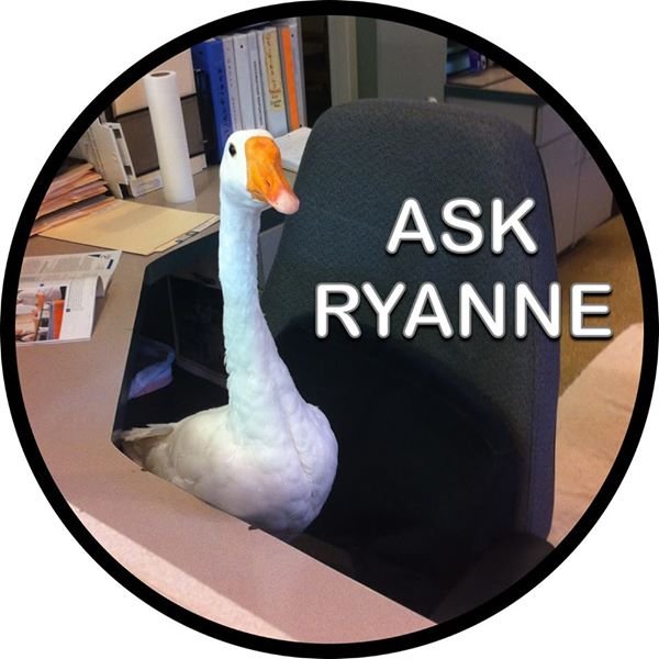 I am a profeshunal goose dat gibs adbice. Juss ask me a queshun!