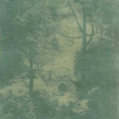 hortus_lucis's profile picture. Artist Nettie Edwards combines iPhone photography & alt photo processes esp Anthotypes (photos from plant matter) Also tweet as @lumilyon