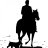 MiddleburgVA's profile image