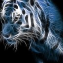 billy graves - @billygraves14 - Twitter