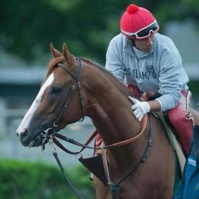 لاسم عبدالله الموسى اعشق الخيل