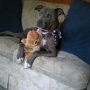 Jennie Lynn Mata - @annabellee_2013 - Twitter