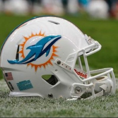 talkdolphins's profile picture. 