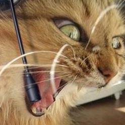 angrykitty34's profile picture. every day is the same shit with a different title