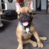Hugo Pawz (@hugo_pawz) 's Twitter Profile