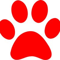 Cannonsburg Elem. (@cannonsburgelem) 's Twitter Profile