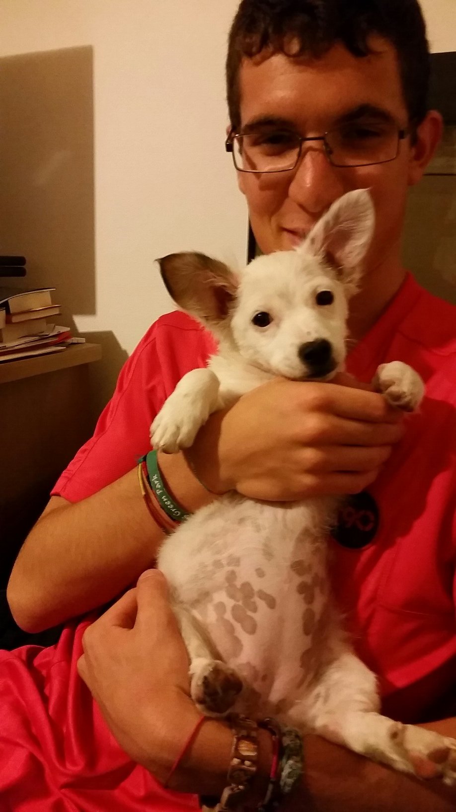 Mauro94R's profile picture. 