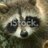 GuadiansGilwauk's profile image