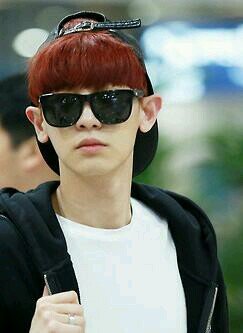 pcy 1992 - kitey bantet pendek kesayangan