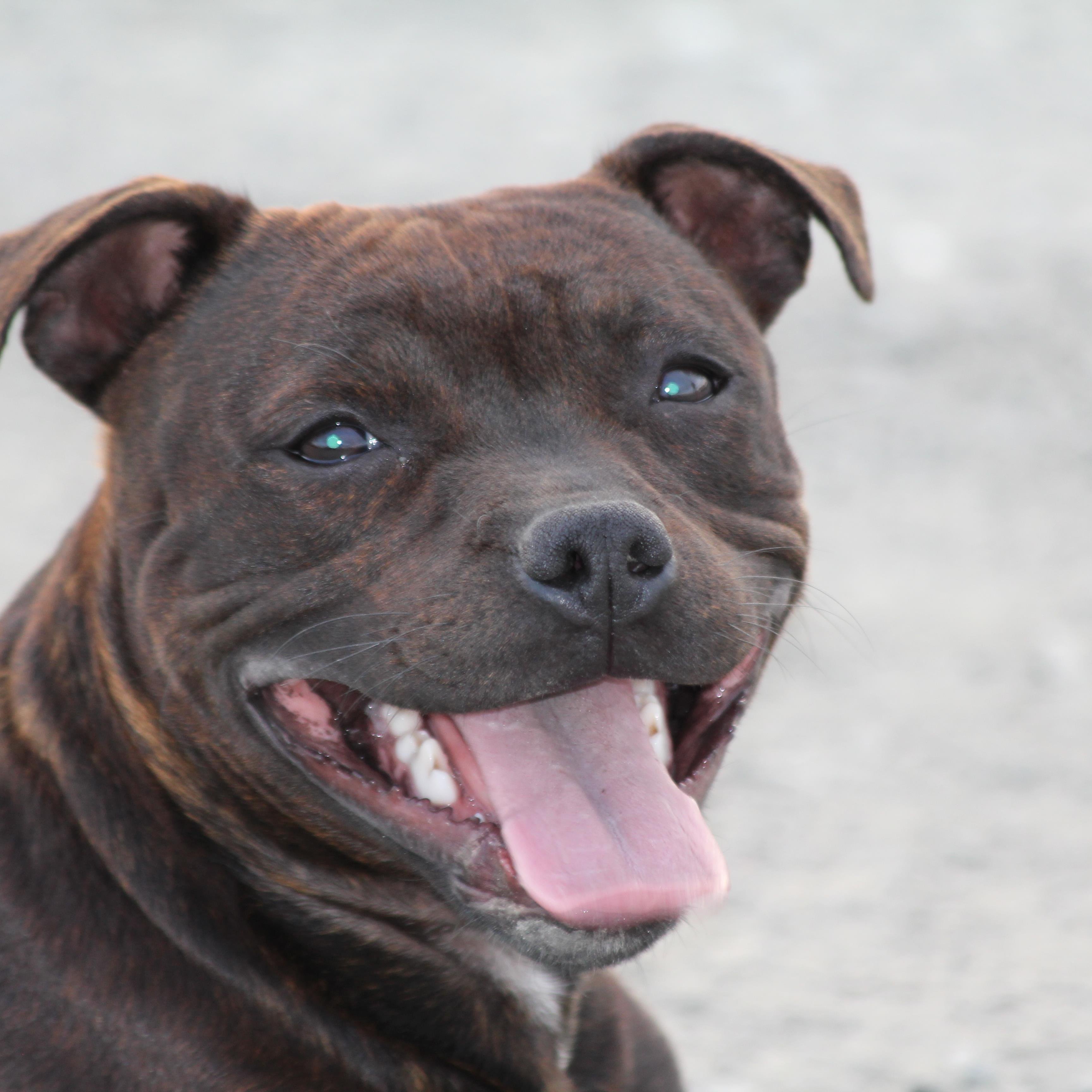 LennartSteffens's profile picture. 