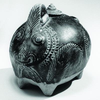 RabbitNewsBlog's profile picture. Rabbit News is news about rabbits.