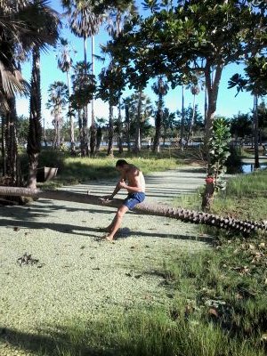 AurigledsonS's profile picture. 