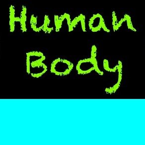 humanbody2014's profile picture. Human Body