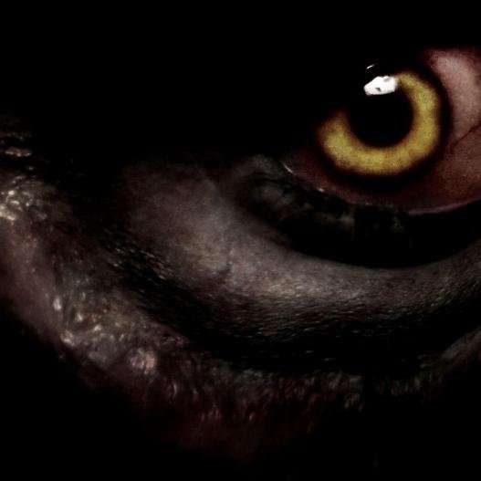 PrimalFearFilms's profile picture. Director/Screenwriter of 'Sackbury Pitch' (Found Footage horror movie).