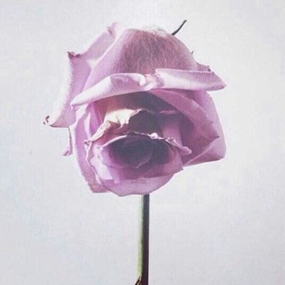 ﺍﺟﻌﻞ ﻟﻨﻔﺴﻚ ﻳﻮﻣﻴﺎ ؟ - ﻭﺭﺩ ﻣﻦ ﺍﻟﻘﺮﺁﻥ،✨. - ﺍﺫﻛﺎﺭ ﺍﻟﺼﺒﺎﺡ ﻭﺍﻟﻤﺴﺎﺀ،✨. - ﺻﻼﺓ ﺍﻟﻀﺤﻰ،✨. - ﺻﻼﺓ ﺍﻟﻮﺗﺮ،✨. - ﺻﺪﻗﻪ ﻳﻮﻣﻴﺎ ✨.