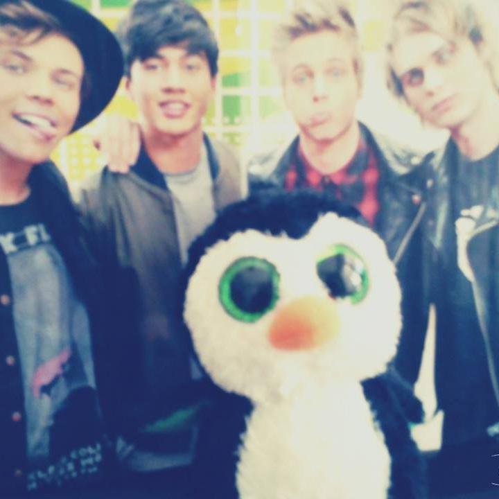 Penguin5SOSx Profile Picture