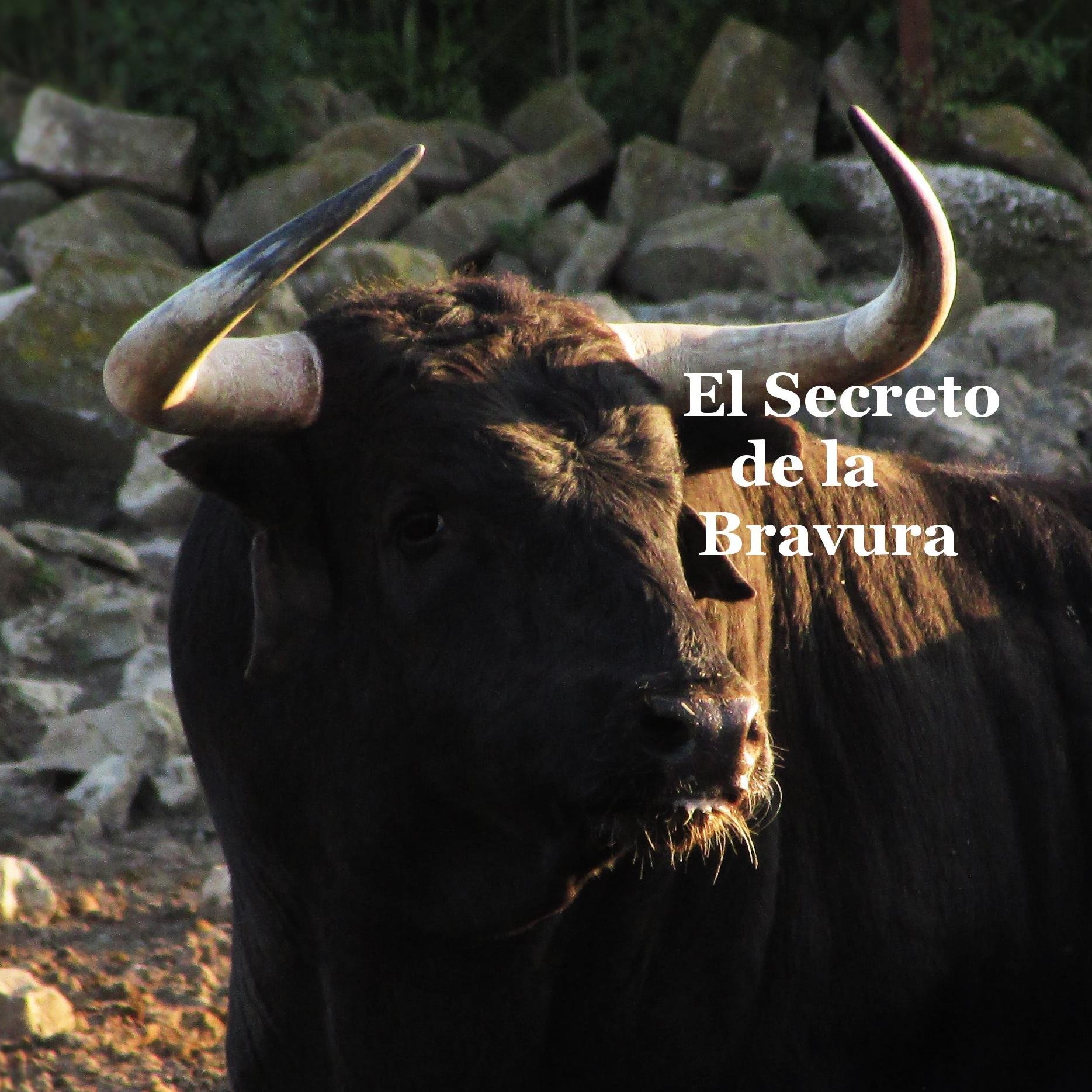 Secreto Bravura