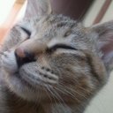 Aya Okada - @ass1715oa - Twitter