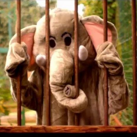 ParadiseCitou's profile picture. Frases Famosas  ∞