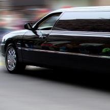 honolululimo's profile picture. 