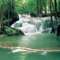 biyo_2672 (@delimavi_2672) 's Twitter Profile