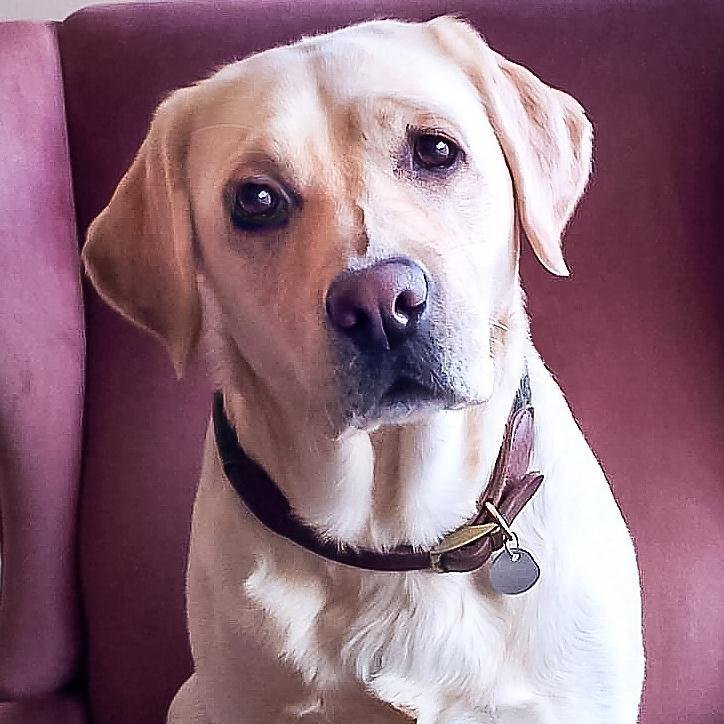 marti4467's profile picture. 