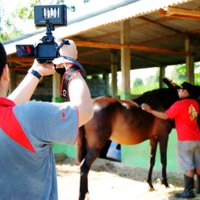 SΛISHΛИO (@saishano) 's Twitter Profile