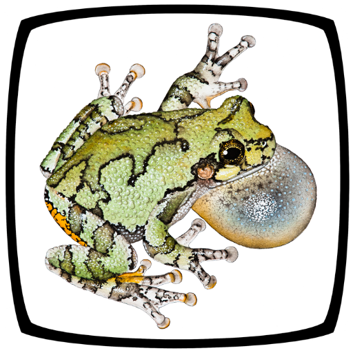 Society for the Study of Amphibians and Reptiles: an international, non-profit society for research, conservation, & education.