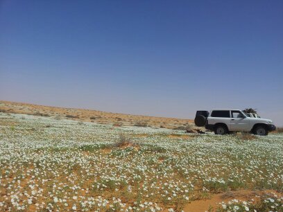 ktelcom743's profile picture. 