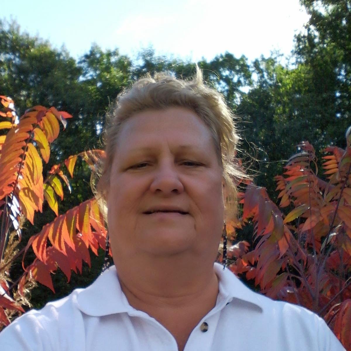 55katet's profile picture. 