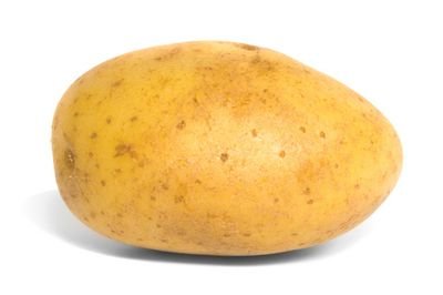M_Viss Profile Picture