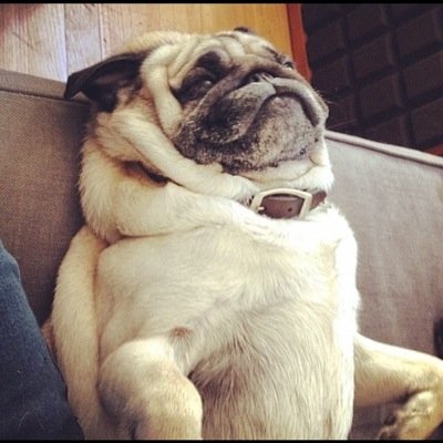 fcksivan's profile picture. 