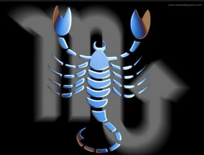 mertysnmert's profile picture. 