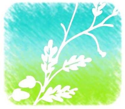 SDCWB1's profile picture. A community dedicated to offering classes, groups and workshops to support healthy and balanced living where individual growth and well being can flourish.